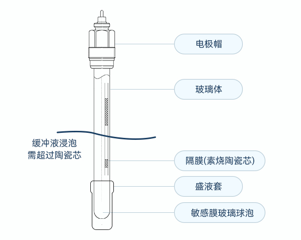 pH電極