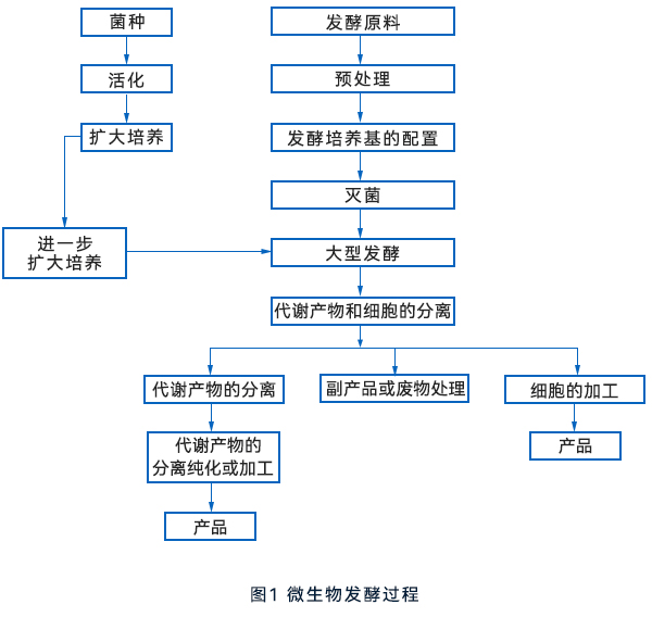 微生物發(fā)酵流程