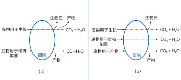 底物消耗的質(zhì)量衡算圖